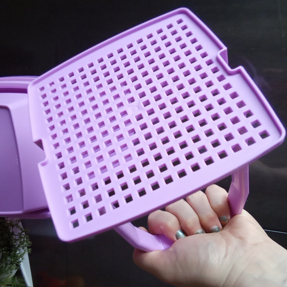 New🌈 Tupperware Pickle Container & Food Storage - Picture 4 of 10